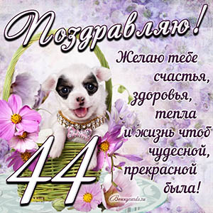 Картинка с собакой в корзинке и пожеланием на 44 года