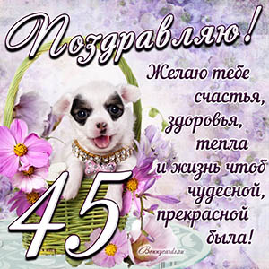 Картинка с собакой в корзинке и пожеланием на 45 лет