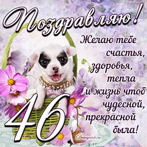 Картинка с собакой в корзинке и пожеланием на 46 лет