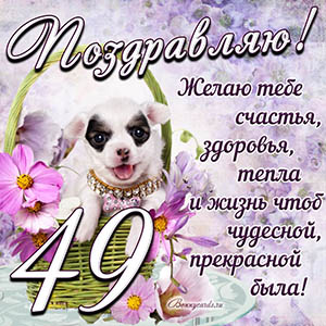 Картинка с собакой в корзинке и пожеланием на 49 лет