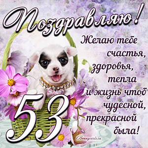 Картинка с собакой в корзинке и пожеланием на 53 года