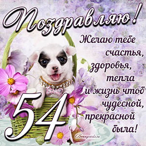 Картинка с собакой в корзинке и пожеланием на 54 года