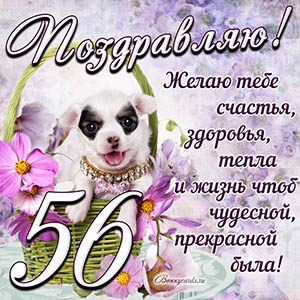 Картинка с собакой в корзинке и пожеланием на 56 лет
