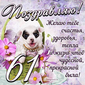 Картинка с собакой в корзинке и пожеланием на 61 год