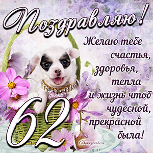 Картинка с собакой в корзинке и пожеланием на 62 года