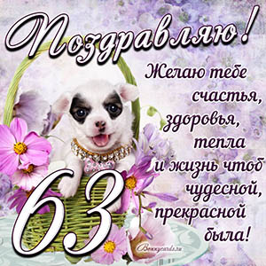 Картинка с собакой в корзинке и пожеланием на 63 года