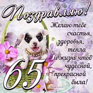 Картинка с собакой в корзинке и пожеланием на 65 лет