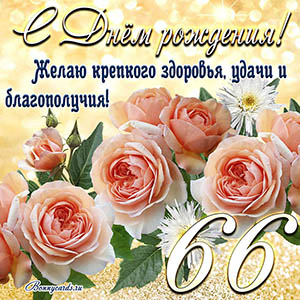 Картинка с Днем рождения на 66 лет - здоровья и удачи