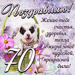 Картинка с собакой в корзинке и пожеланием на 70 лет
