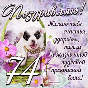 Картинка с собакой в корзинке и пожеланием на 74 года