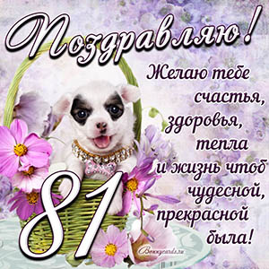 Картинка с собакой в корзинке и пожеланием на 81 год