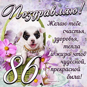 Картинка с собакой в корзинке и пожеланием на 86 лет