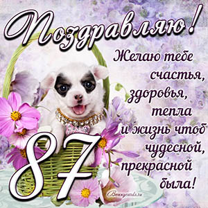 Картинка с собакой в корзинке и пожеланием на 87 лет