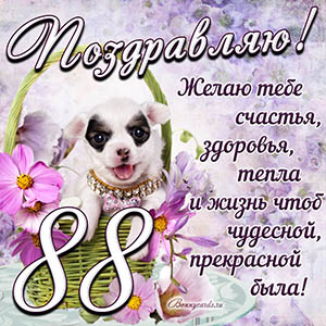 Картинка с собакой в корзинке и пожеланием на 88 лет