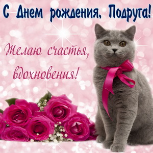Красивый серый котик подруге на День рождения