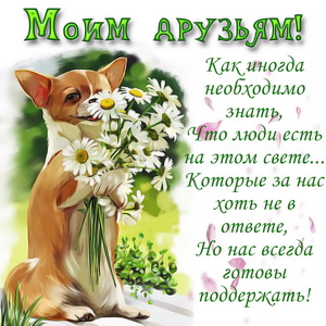 Собачка с букетом ромашек для друзей