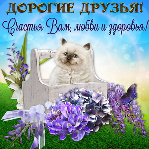 Картинка с котиком для дорогих друзей