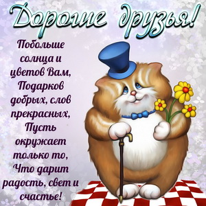 Забавный кот желает счастья дорогим друзьям