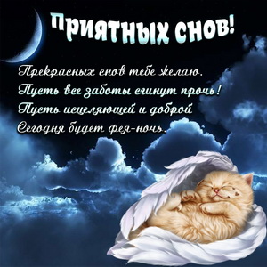 Спящий котёнок на фоне ночного неба