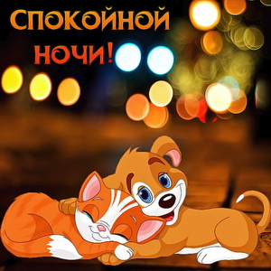 Собачка и котик желают спокойной ночи