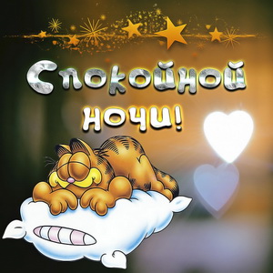 Котик на подушке желает спокойной ночи