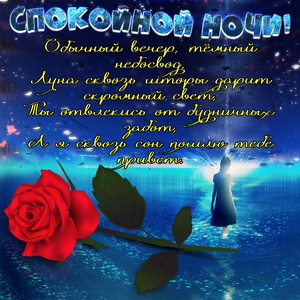 Картинка с розой на феерическом фоне