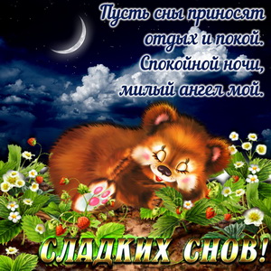 Открытка со спящим на травке медвежонком