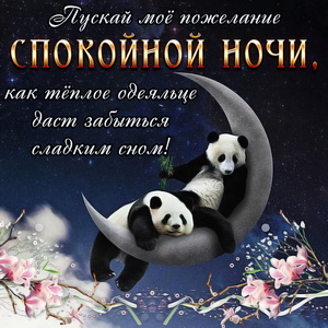 Две панды уютно спят на месяце
