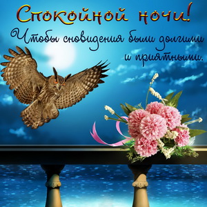 Открытка с филином в небе среди ночи