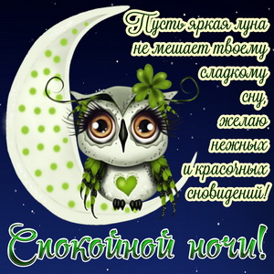Открытка с совёнком желающим спокойной ночи