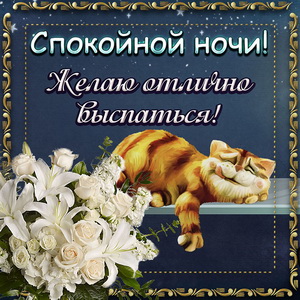 Открытка спокойной ночи со спящим котиком и цветами
