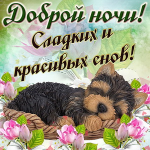 Открытка доброй ночи с собачкой спящей в корзинке