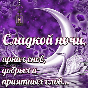 Картинка с пожеланием сладкой ночи под огромной луной