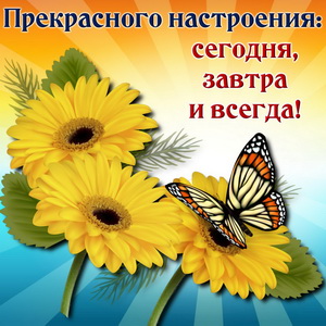 Бабочка на ярких подсолнухах