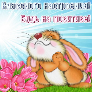 Картинка с милым кроликом на травке