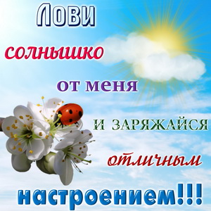 Открытка с божьей коровкой и пожеланием
