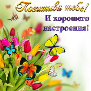Открытка с бабочками на тюльпанах