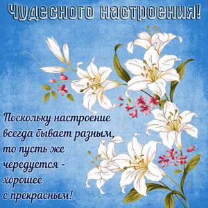 Красивые цветы на голубом фоне
