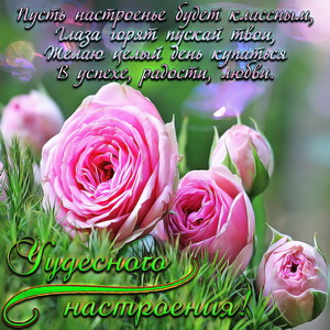 Картинка чудесного настроения с розами