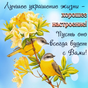 Открытка с красивыми птичками на веточке