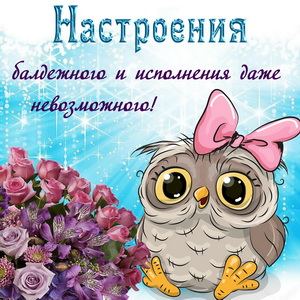 Открытка с совой, цветами и пожеланием