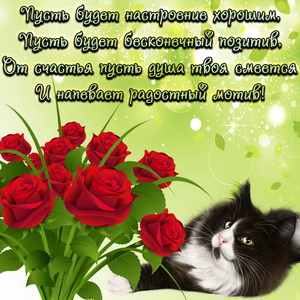 Картинка с котиком и позитивным пожеланием