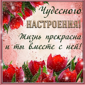 Пожелание чудесного настроения на фоне тюльпанов