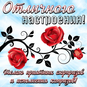 Розочки и пожелание отличного настроения