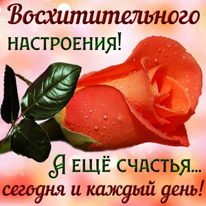 Открытка с розой и пожеланием счастья