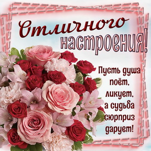 Картинка с цветами для отличного настроения