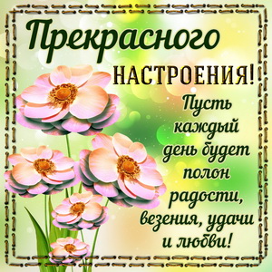 Цветы в рамочке для прекрасного настроения