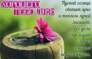 Цветок на бревнышке и пожелание