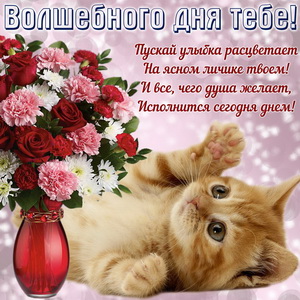 Котенок желает волшебного дня