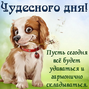 Забавный песик желает чудесного дня